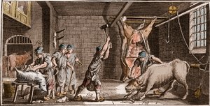 Boucher - Butchery - Butchery - "" The Great Encyclopedia, eller Dictionnaire Raisonne des Sciences, des Arts et des Metiers" (Encyclopedia or Dictionary of the Sciences, Arts and Professions) av Denis Diderot (1713-1784) og Jean d'Alemb av French School