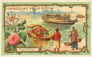 Camelia, Korea (chromolitho) av French School