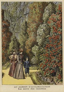Camellia drivhus i en botanisk hage av French School
