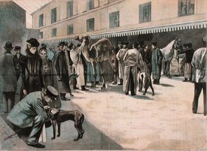 Pleie av en kamel ved Ecole Nationale Veterinaire d