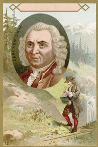 Carl Linnaeus, svensk botaniker og zoolog av French School