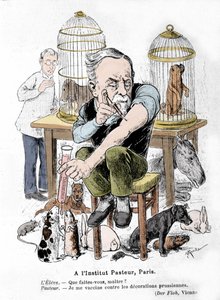 Tegneserierepresentasjon av vitenskapsmannen Louis Pasteur, oppfinneren av vaksinen mot rabies, som vaksinerer seg mot prøyssiske dekorasjoner. Publisert i "Der Floh"" av French School