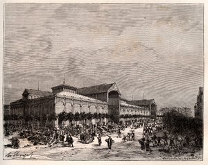 Central halles in Paris in the 19th century - engraving in “La France illustree: geographie, histoire, administration statistique” by V.A. Malt-Brown. 1884 av French School