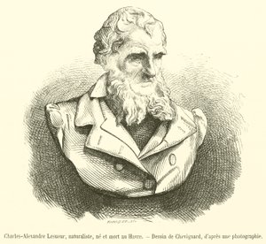 Charles-Alexandre Lesueur , naturforsker, født og døde i Le Havre (gravering) av French School