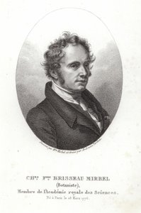 Charles-Francois Brisseau de Mirbel av French School