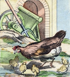 Kylling og kyllinger. Gravering i "Buffon Alphabet des Oiseaux n 2". 3. Serie N 2. Avbildning av Epinal, Epinal, sent på 1800-tallet. 16 sider. Mål: 28x21cm av French School