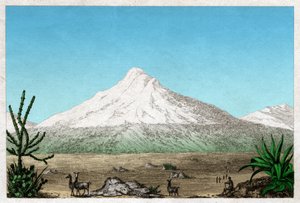 Chimborazo vulkan. (gravering, ca. 1840) av French School