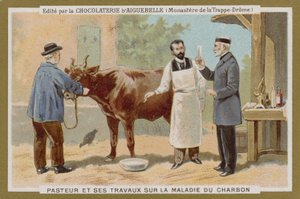 Chocolat dAiguebelle handelskort av French School