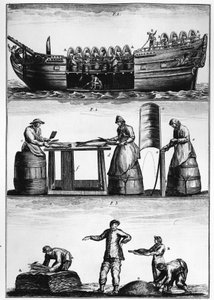 Torskefiske: lasting, skjæring og salting av fisk - i "General Treatise on Fisheries" av Duhamel du Monceau av French School