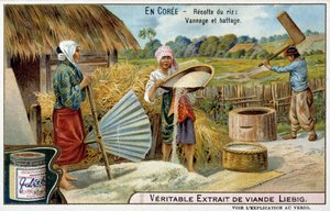 Coree: rishøsting, veving og tresking - chromo. Liébig, v.1900 av French School