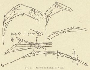 skisse av Leonardo da Vinci av French School