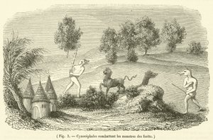 Cynocephales som kjemper mot skogsmonstre (gravering) av French School