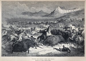 Discovered Canada: Sioux bison hunt. Drawing by Gustave Dore after Catlin. Engraving from the end of the 19th century in “La nouvelle France” by Eugene Guenin. av French School