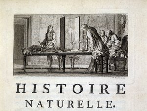 Disseksjon av dyr - i "" Naturlig, generell og spesiell historie"" av Buffon av French School
