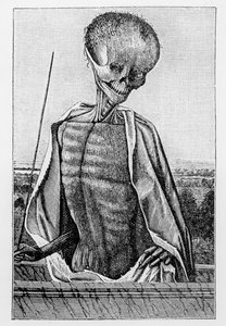 Doctor Death, fra en timebok, illustrasjon fra vitenskap og litteratur i middelalderen og renessansen, skrevet og gravert av Paul Lacroix, 1878 av French School