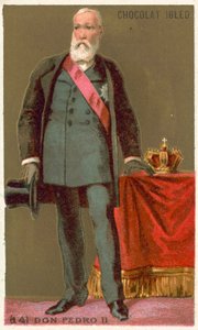 Don Pedro II, keiser av Brasil av French School