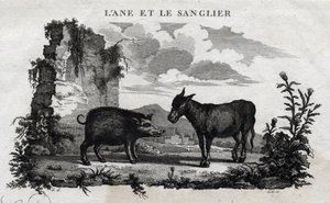 Esel og villsvin. Fabel om Esope. (Gresk forfatter Esopo eller Ecopus, 6. århundre f.Kr.) Skrevet av Guillaume Montfort og Gravees av Beauble i 1801. av French School