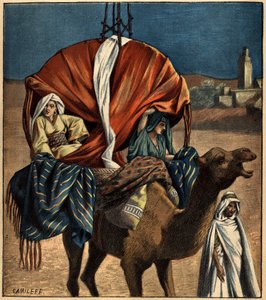 Dromedarbruk som transportmiddel. Tunisia, Afrika av French School