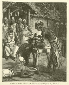 Fra Niger til Sentral-Sudan av French School