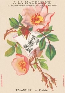 E: Eglantine - Poesi av French School