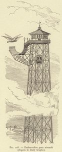 Dock for fly (fra Daily Graphic) (gravering) av French School