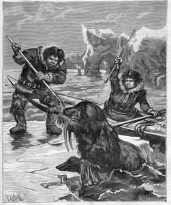 Eskimoer - fiske hvalross - Eskimoer - hvalross fiske i 1888 - - Gravering i "Journal des Voyages"" 1888 av French School