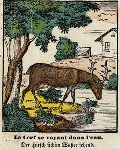 Fables de La Fontaine: hjorten ser seg selv i vannet. Bilde av Epinal, første halvdel av 1800-tallet av French School