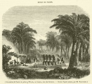 Produksjon av palmeolje i Whyda, Guinea, Slavekysten (gravering) av French School