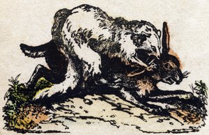 Ilder. Gravering i "" Alphabet des animaux sauvages"". 9. serie. Bilder av Epinal, Pellerin, trykkeri-utgiver, ca. 1870. Graveringer på tre, stensilert. 16 sider. Mål: 20 x 15 cm. Privat samling av French School