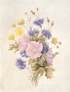 Markblomster, 1842 (wc på papir) av French School