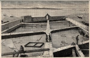 Fiskeoppdrett i Concarneau - Bretagne - Establishment de pisciculture - Concarneau - Finistere - Bretagne - gravering i "" PATRIE" - BILDEKRAV BESKRIVELSE AV FRANKRIKE I 6 BIND AV LUCIEN HUARD - slutten av 1800-tallet av French School