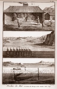 Fiske, sild og sardiner - Peches de Mer - Sorretterie des herring et des sardines - "" La Grande Encyclopédie, ou Dictionnaire Raisonne des Sciences, des Arts et des Metiers"" (Encyclopedia or Dictionary of the Sciences, Arts and Professions) av Deni av French School