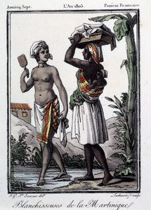 Franske kolonier: blekemidler fra Martinique til Vestindia. Gravering fra 1805. Chartres, Museum of Fine Arts av French School
