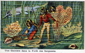Futuredays: A Nineteenth Century Vision of the Year 2000 - Serie "" In 2000": En lysning i Sargasso-skogen (under havet). Kromolitografi av Villemard av French School