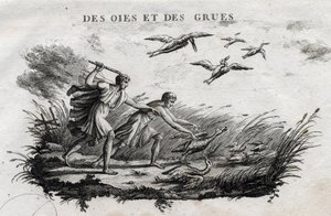 Gjess og traner - Fable d