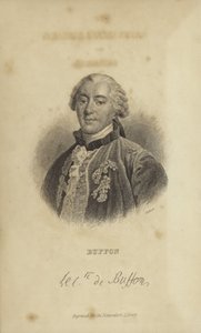 Georges-Louis Leclerc, greve av Buffon av French School