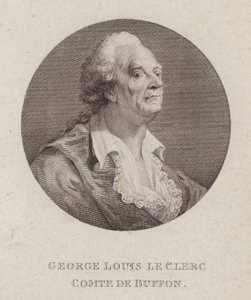 Georges-Louis Leclerc, Comte de Buffon, fransk naturforsker (gravering) av French School