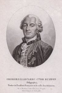 Georges-Louis Leclerc, Comte de Buffon, fransk vitenskapsmann og forfatter (gravering) av French School