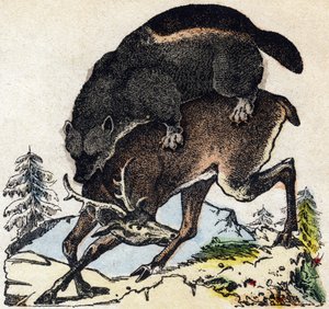 Frosser. Gravering i "" Alphabet des animaux sauvages"". 9. serie. Bilder av Epinal, Pellerin, trykkeri-utgiver, ca. 1870. Graveringer på tre, stensilert. 16 sider. Mål: 20 x 15 cm. Privat samling av French School