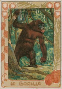 Gorilla av French School