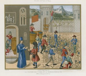 Å dyrke vinstokker og lage vin av French School
