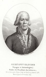 Guillaume Antoine Olivier av French School