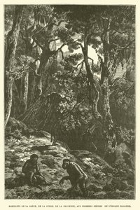 Innbyggere i Hellas, Sveits, Provence, i de første århundrene av pliocen-perioden (gravering) av French School