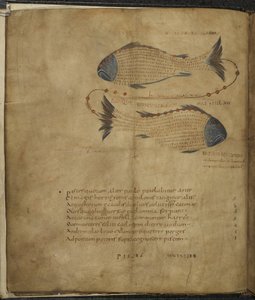 Harley 647, f.3v Illustrasjon av stjernebildet Fiskene, fra 'Aratus' av Marcus Tillius Cicero', ca. 1820-40 (vellum) av French School