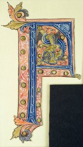 Historikert initial P som viser en bevinget griffin av French School