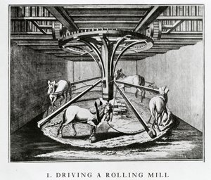Pferde treiben ein Walzwerk, aus der Encyclopédie von Denis Diderot und Jean le Rond d