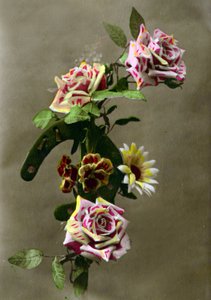 Hestesko og blomster ca. 1898 (håndfarget foto) av French School