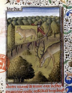 Jakt hjort med sluk - i "" Jaktbok av Gaston Phoebus, greve av Foix, Lord of Béarn"" av French School