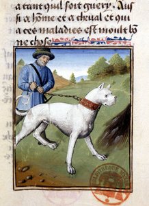 Jagdhund an der Leine gehalten - in „Jagd Buch von Gaston Phoebus, Graf von Foix, Herr von Béarn“ von French School