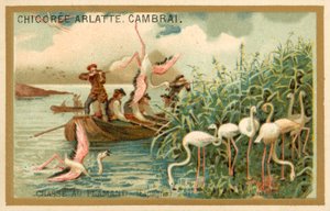 Jakt på flamingoer, Spania (chromolitho) av French School
